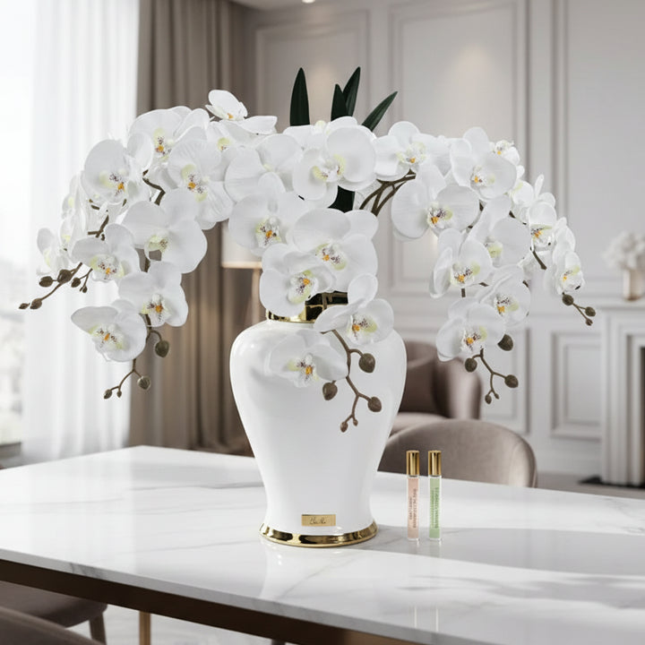 White vase with white flowers on a white background