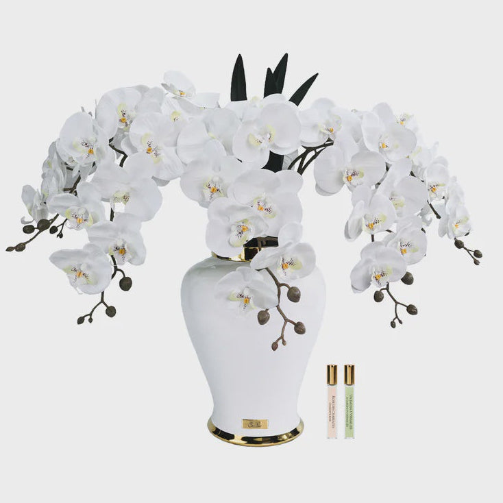 White vase with white cote noire orchid flowers 