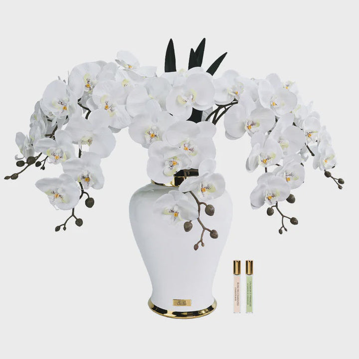 White vase with white cote noire orchid flowers 