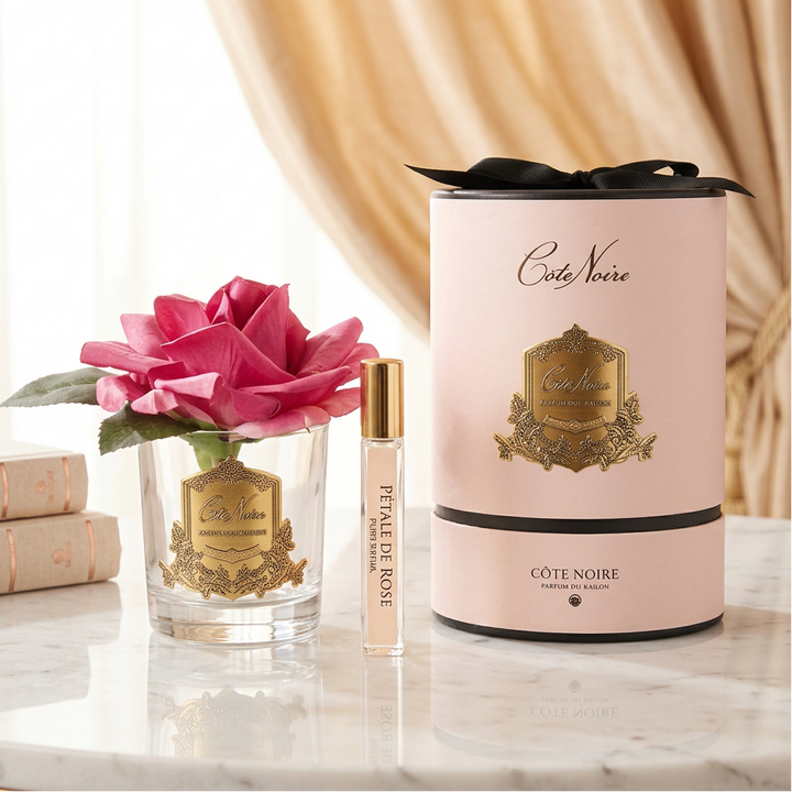 Cote Noire fragrance gift set featuring a pink rose in a clear glass vase with a gold label, a small perfume rollerball bottle, and a tall cylindrical pale pink box with black ribbon and gold crest.