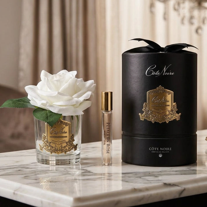 Côte Noire 'Petite Rose' fragrance gift set featuring a black cylindrical box with gold detailing, a clear glass vase with a white rose, and a small perfume sample vial with a gold cap, all on a white background.