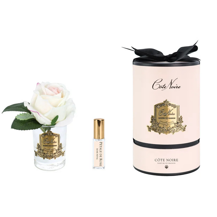 Cote Vierge fragrance set featuring a clear glass diffuser vase with a white rose, a small clear spray bottle with a gold cap, and a tall pale pink cylindrical box with black ribbon and gold crest detailing.