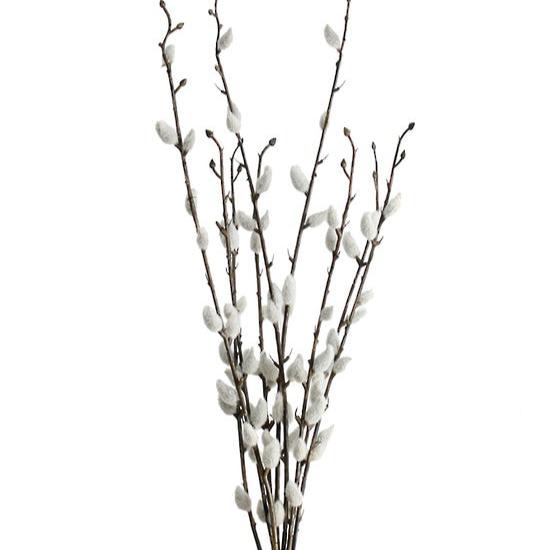 PUSSY WILLOW BUNDLE