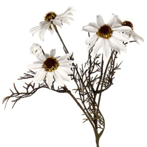 Artificial flower branch with white flowers on a white background