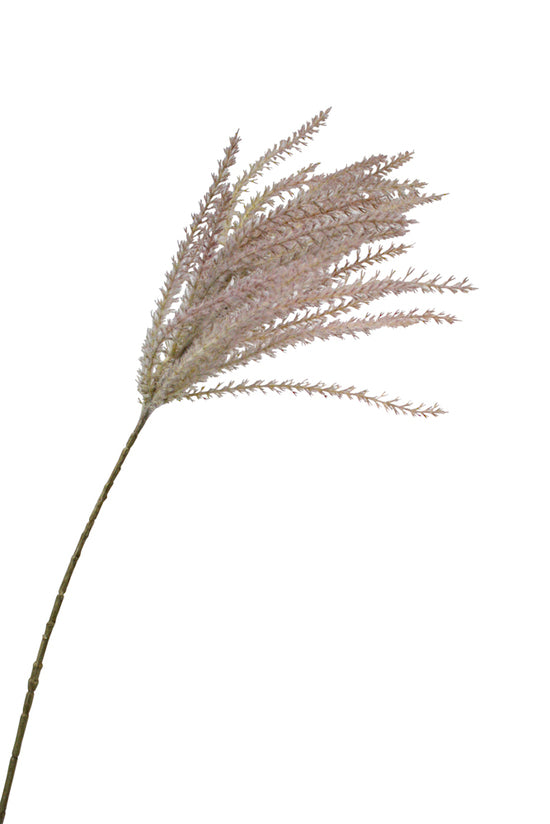 81cm Common Reed Artificial Grass