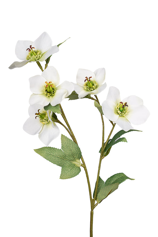 47cm Cream Hellebore Articicial Spray