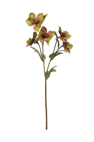 47cm Green Hellebore Artificial Spray