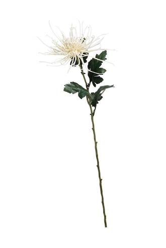 71cm Spider Mum Artificial Stem