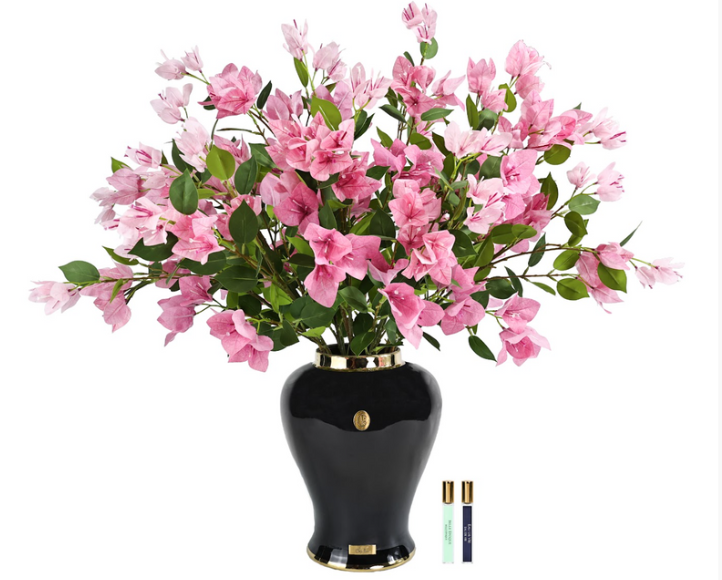 Cote Noire Imperial Pink Bougainvillea