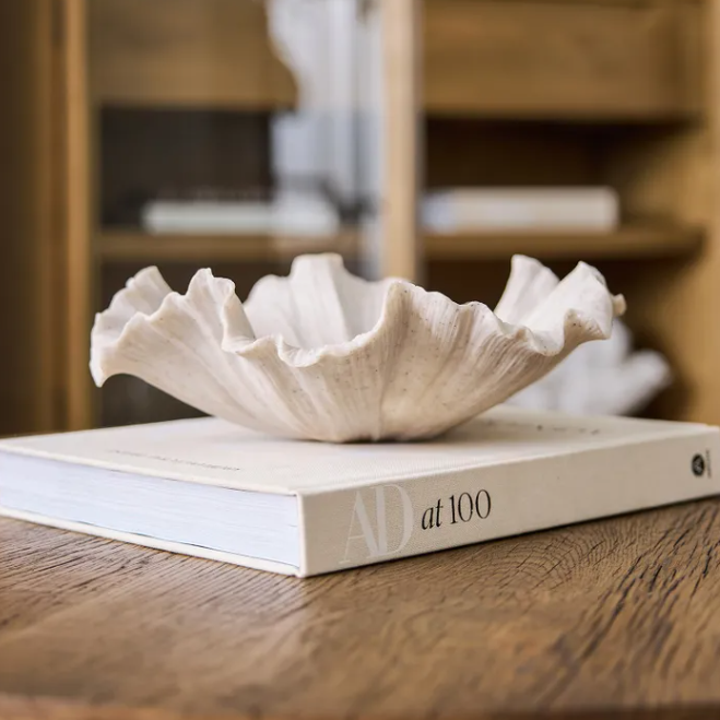 Decorative shell on a book with a blurred background of shelves.