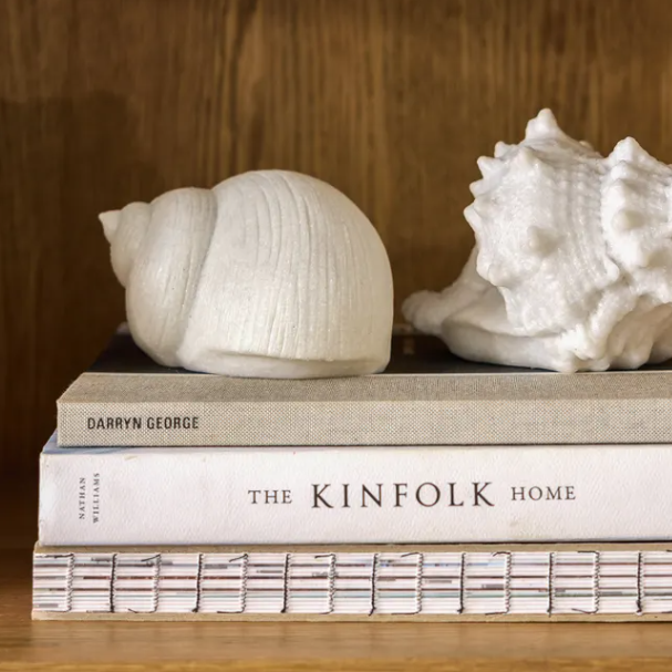 Two white seashells on top of books with a wooden background