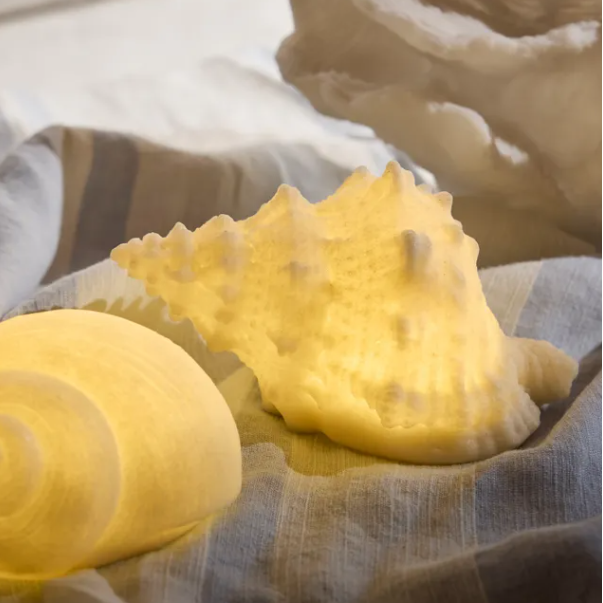 Two yellow seashell-shaped lamps on a textured fabric background