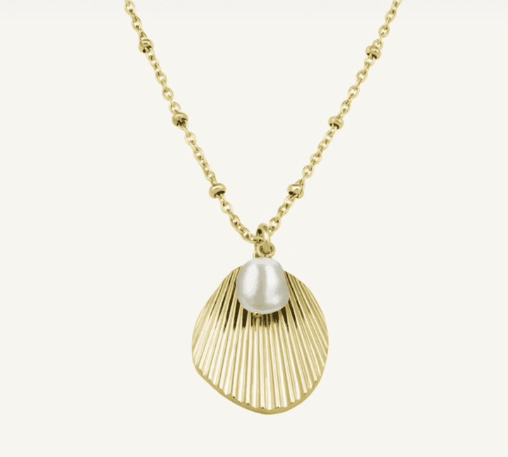 GOLD SHELL & PEARL NECKLACE - RAPT ONLINE