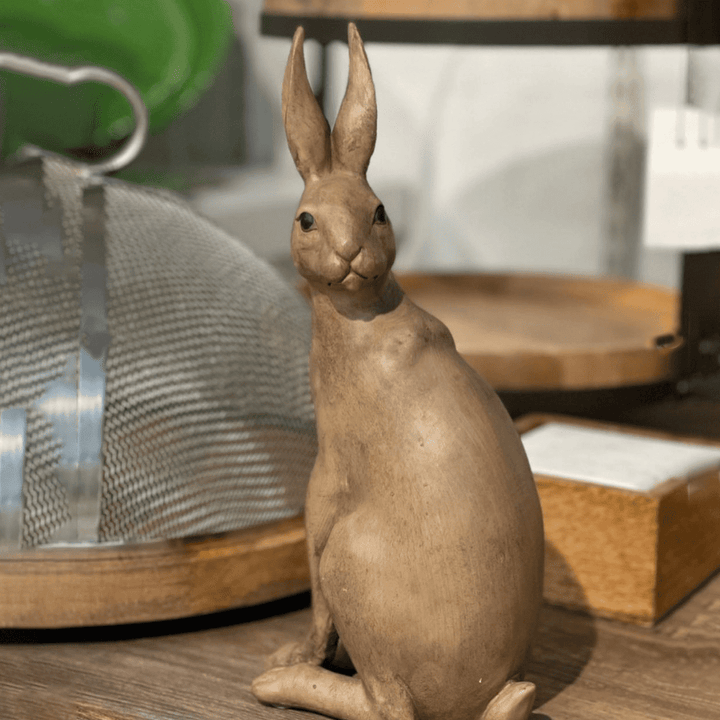 SMALL BROWN TURNING HAROLD HARE - RAPT ONLINE