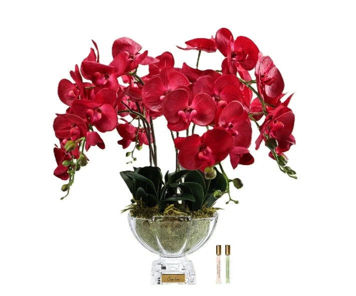 Cote Noire Tall Red Orchid Centrepiece