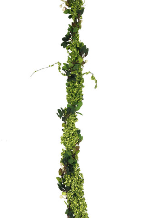 Green Pepper Garland