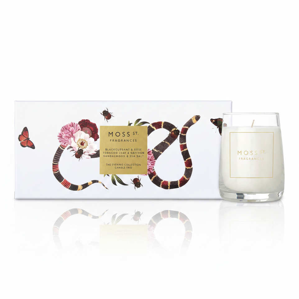 Moss St. Fragrances candle and its illustrated box.