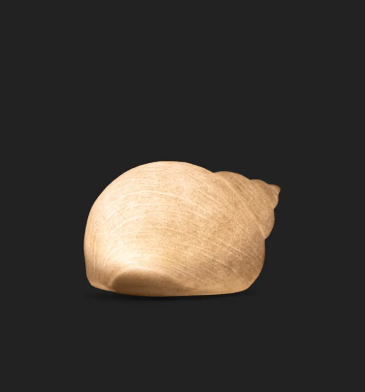 French Country Snail Shell Light Up