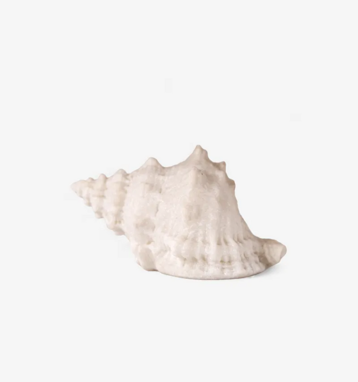 French Country Conch Shell Light Up