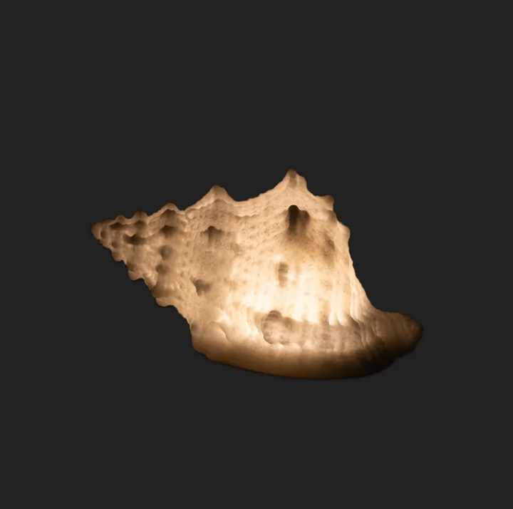 French Country Conch Shell Light Up