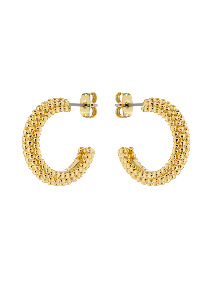 Ted Baker Dotetta Hoop Earrings Gold
