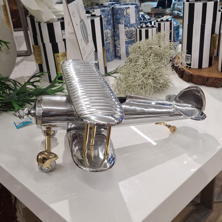 Metallic airplane model on a white surface with decorative plants and striped items in the background.