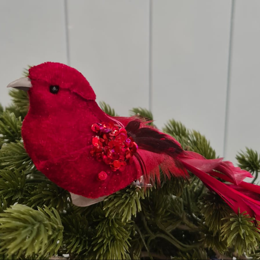 Red bird ornament on a branch with a white paneled background