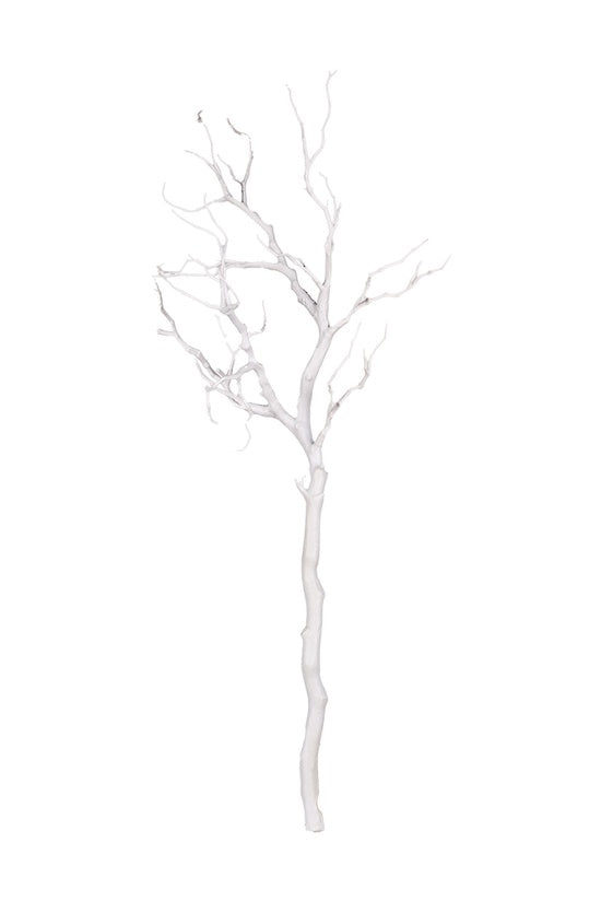 White tree branch on a white background