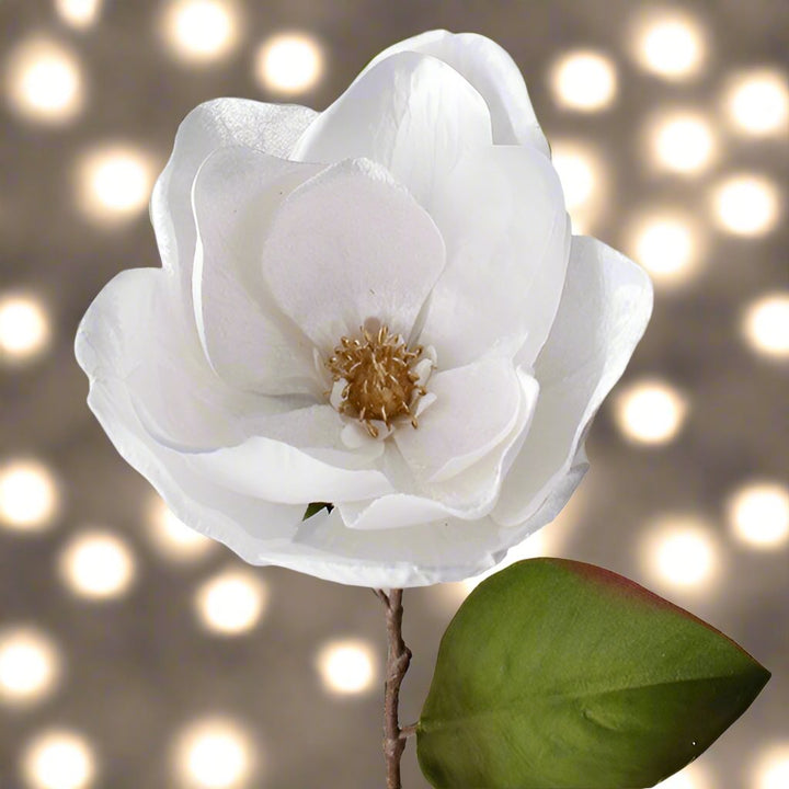 VELVET WHITE MAGNOLIA