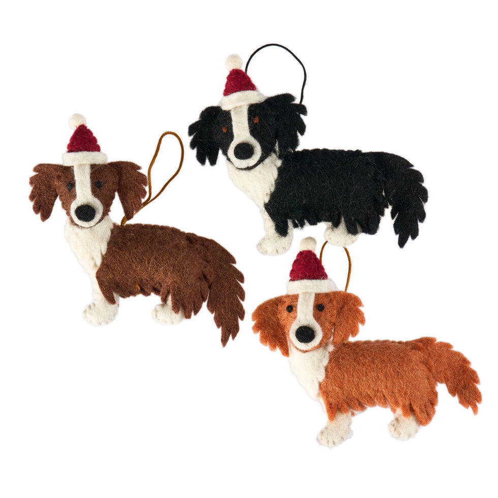Pashom Border Collie Hat Decoration