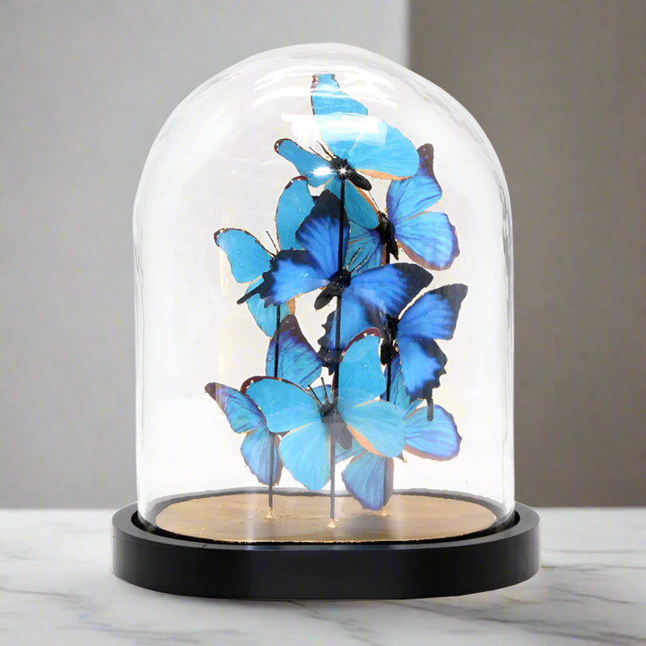 blue butterfly decor presented in a glass cloche or dome. a lovely piece of homeware