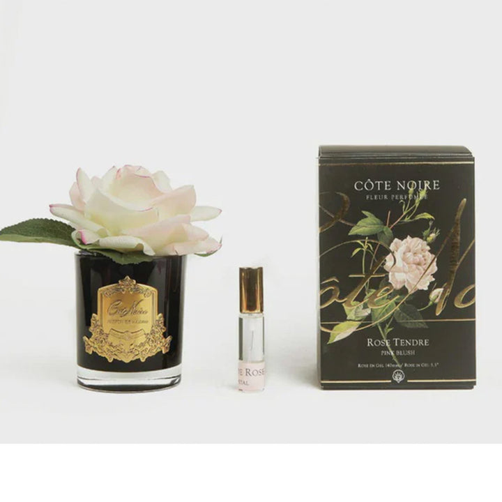 Cote Noire Black Glass Blush Pink Single Rose