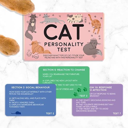 Funny Cat Personality Test
