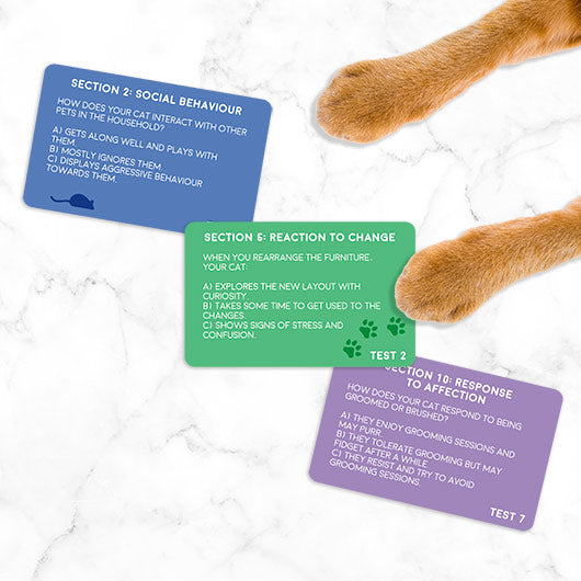 Funny Cat Personality Test