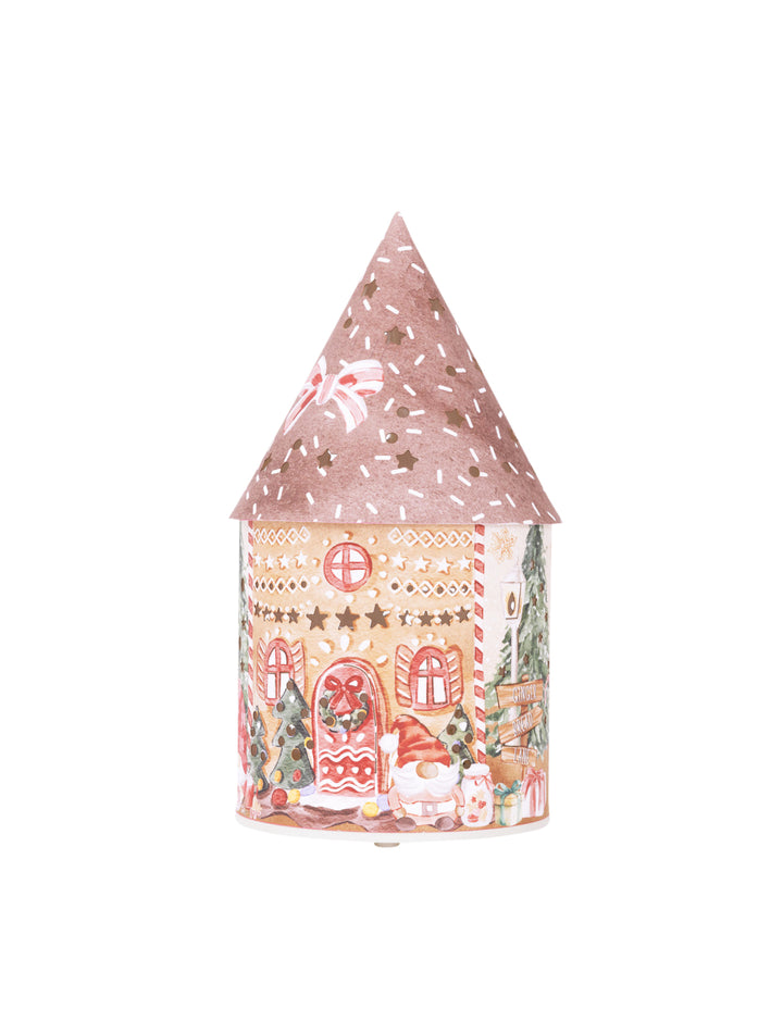 Christmas Light Up House