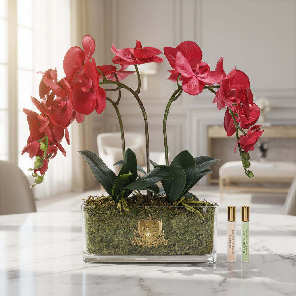 Red orchid plant in a glass container with two small bottles on a white background
