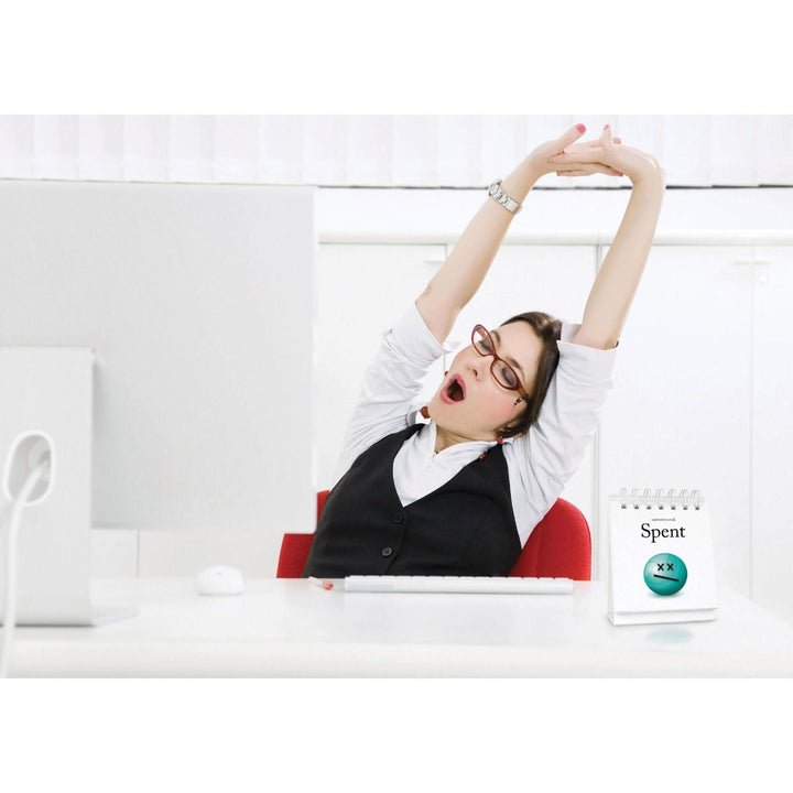Daily Mood Desktop Flip Book