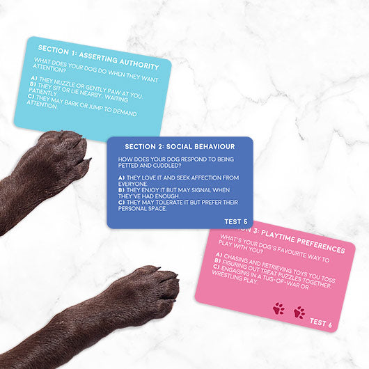 Funny Dog Personality Test