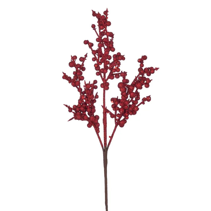 Red Berries Bubble  Branch