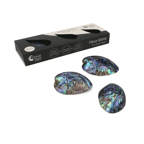 PAUA GEMS
