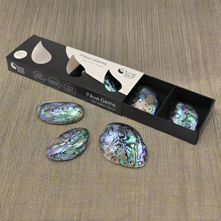 PAUA GEMS