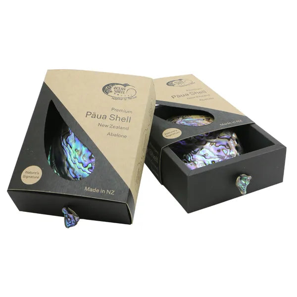 PREMIUM PAUA SHELL