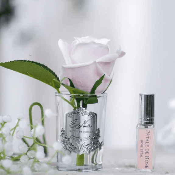FRENCH PINK BUD - RAPT ONLINE