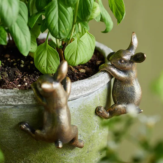2 x gold bunny decor hanging from a planter pot