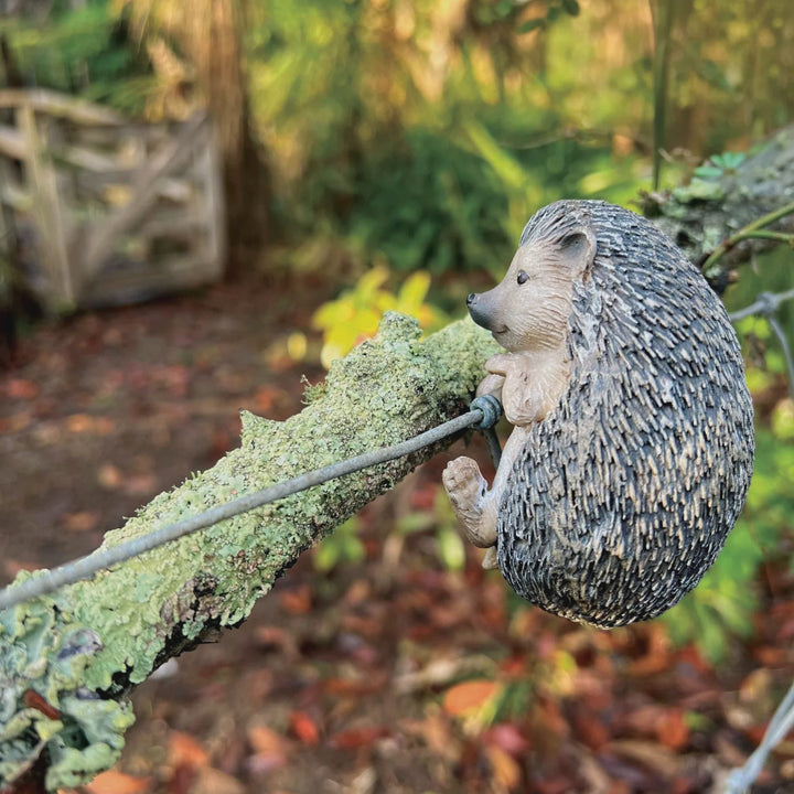 Hanging Hedgehog