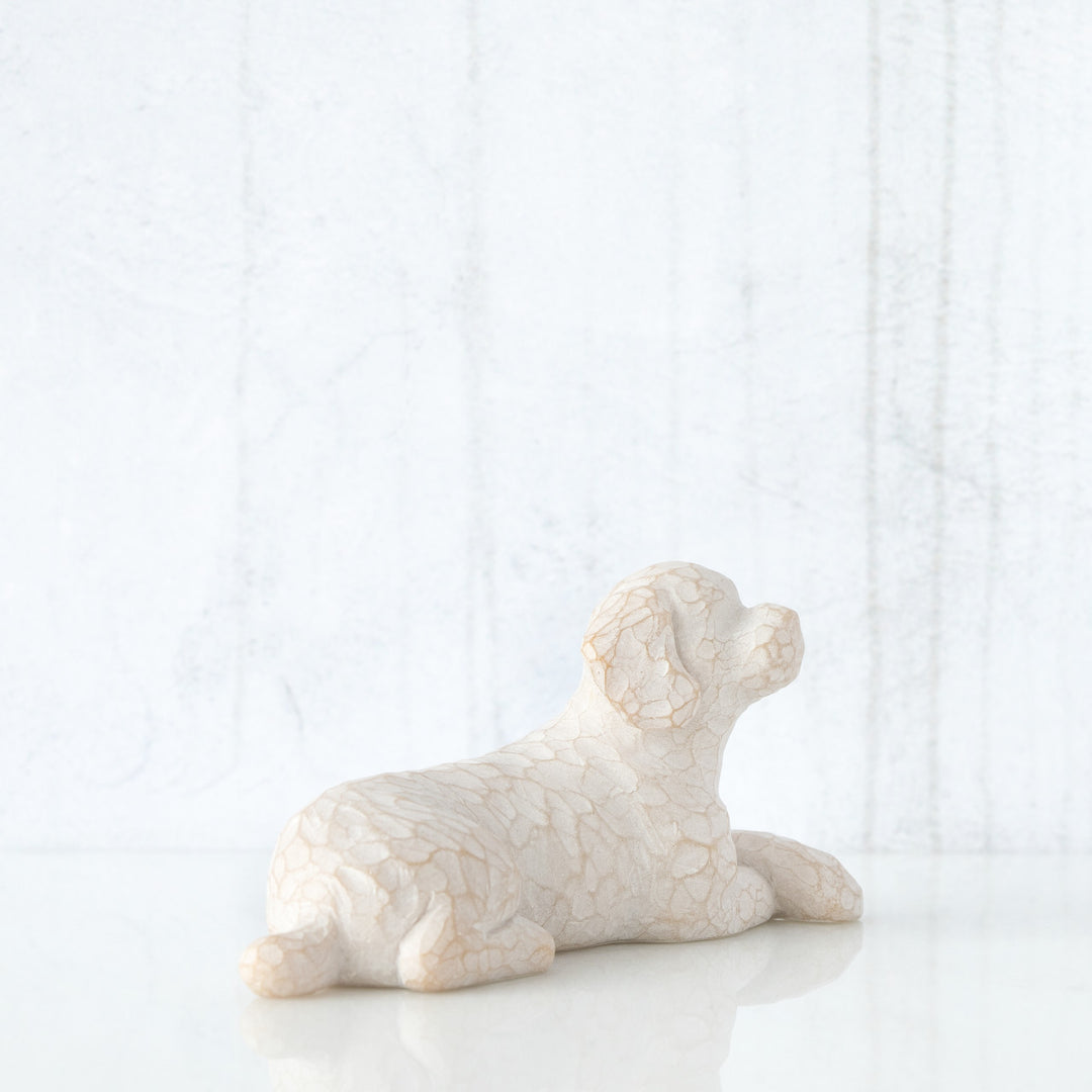 SMALL LYING WHITE DOG