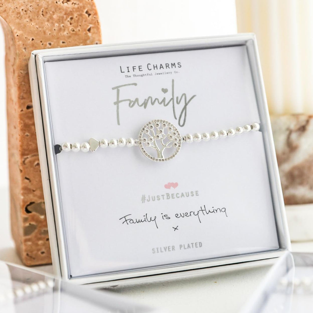 Silver bracelet with 'Family' charm in a branded box on a light background