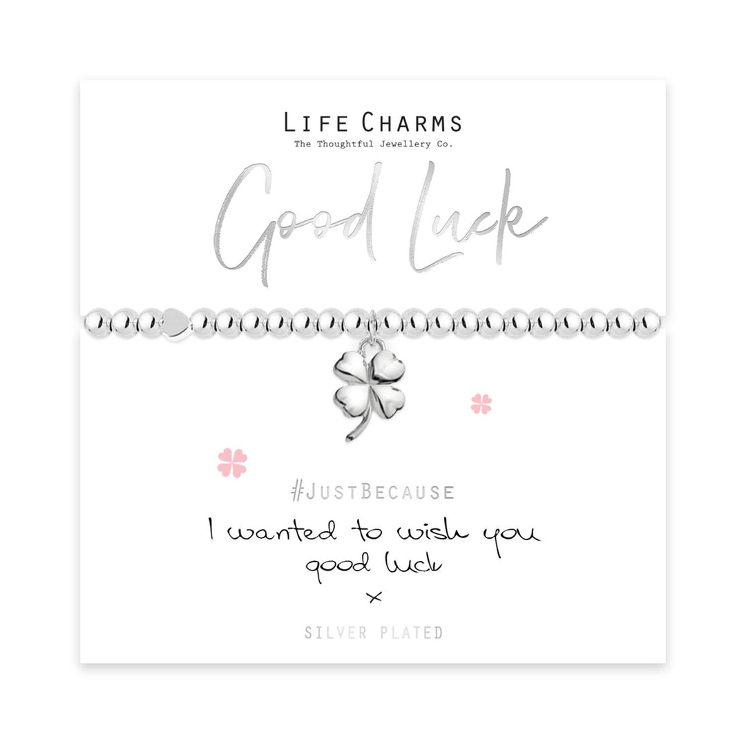 Good Luck Life Charms Silver Bracelet