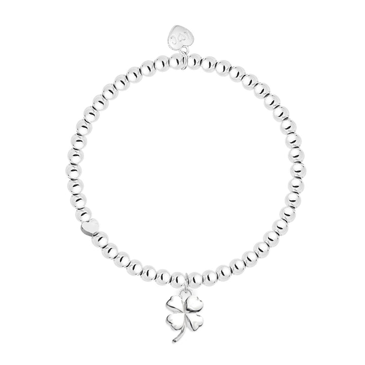Good Luck Life Charms Silver Bracelet