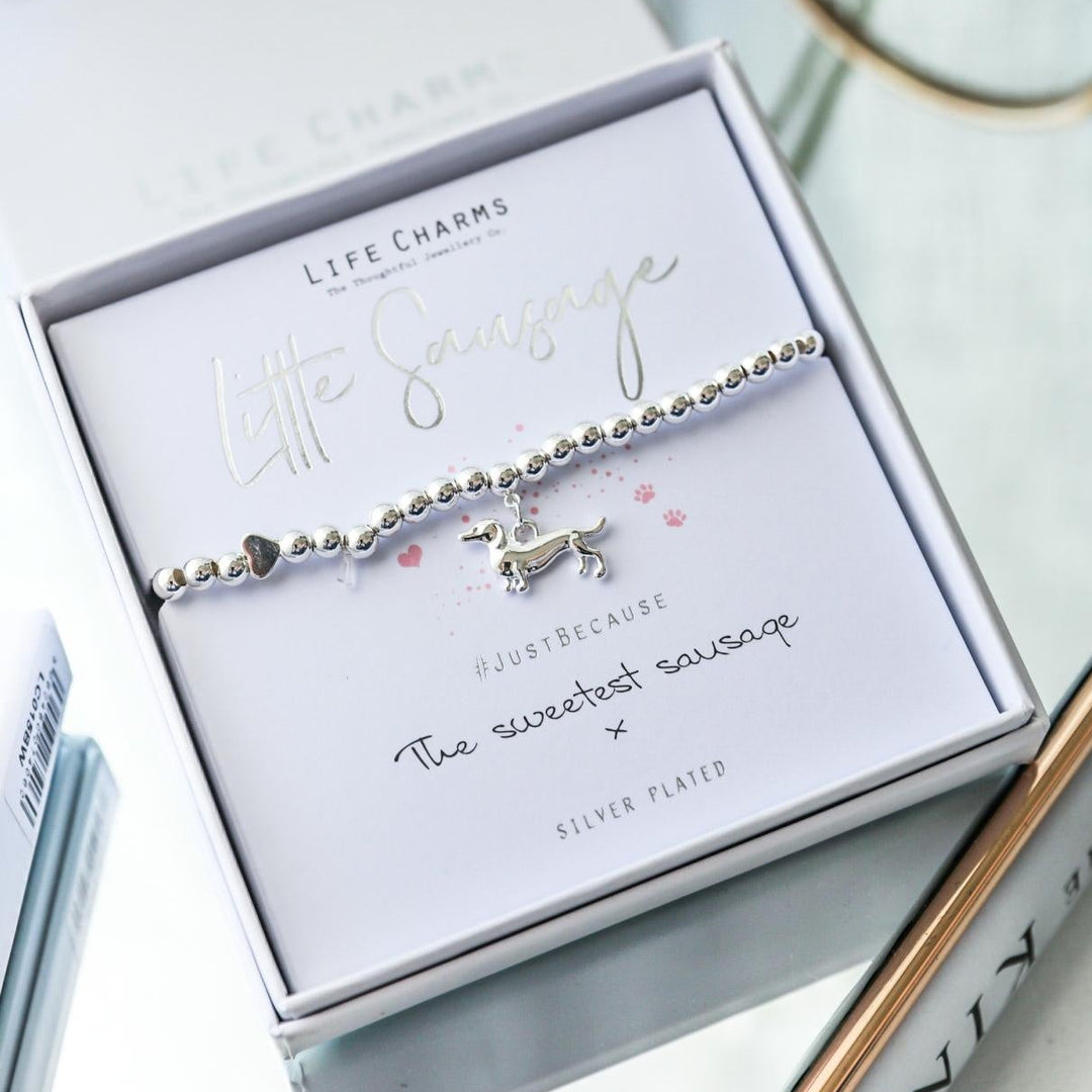 Bracelet with sausage dog charm on a branded card